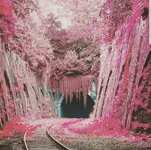 Meet your Posher, Rease